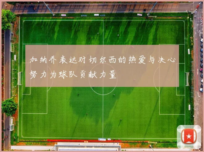 加纳乔表达对切尔西的热爱与决心努力为球队贡献力量