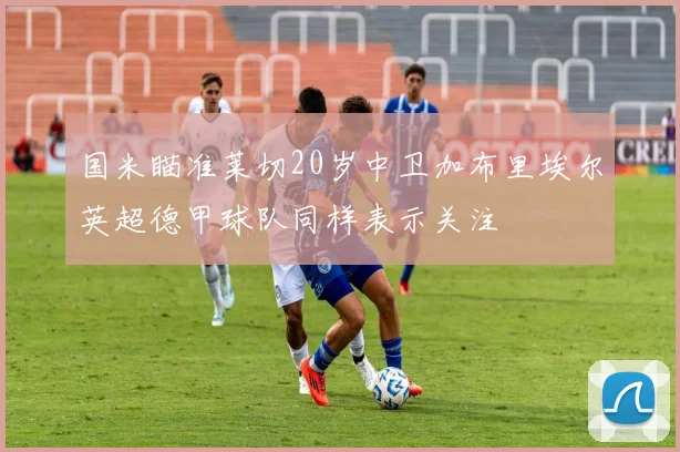 国米瞄准莱切20岁中卫加布里埃尔英超德甲球队同样表示关注