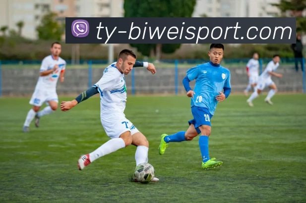 必威足球平台生态图